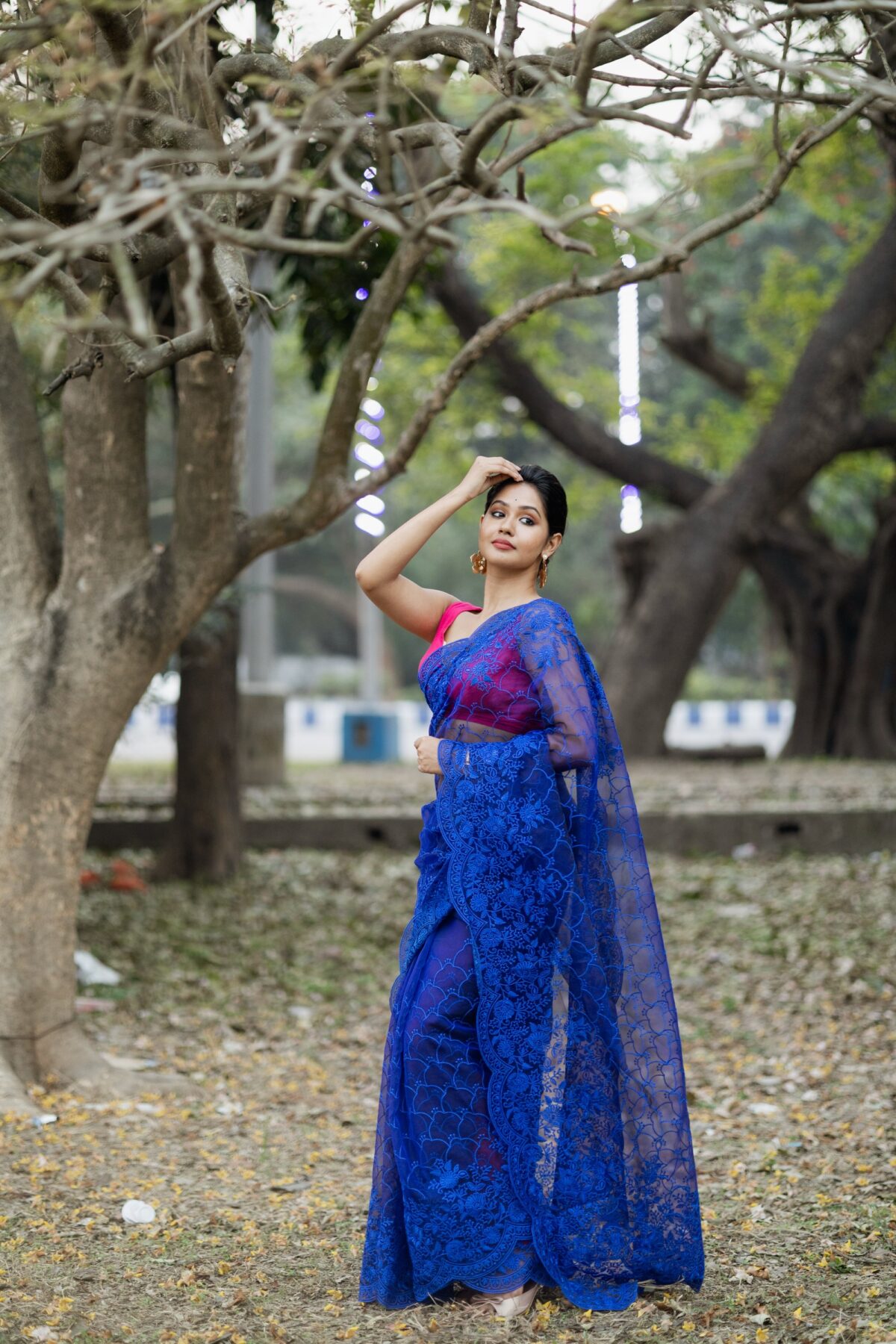 Navy blue pure organza with whole body embroidery art