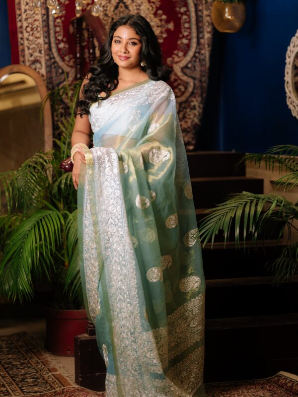 Pastel sap green pure organza with intricate embroidery threadwork